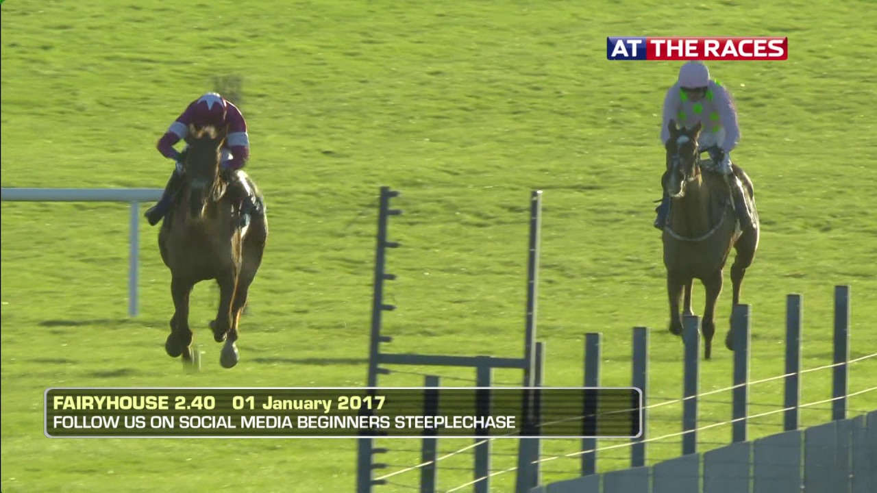 live fairyhouse racing
