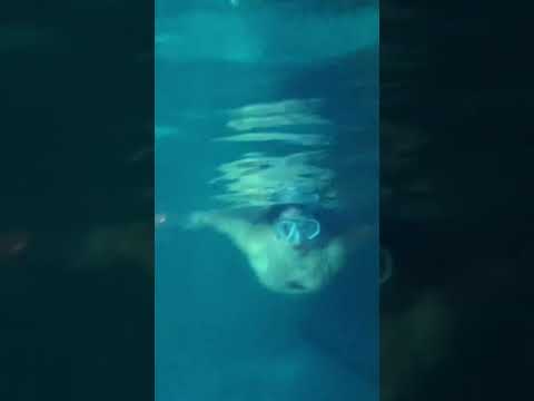 Swimming Underwater, Satisfying 🦈 - YouTube