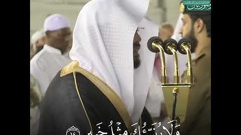 "أنتم الفقراء إلى الله" تلاوة بمقام الصبا الحزين | د. #ياسر_الدوسري