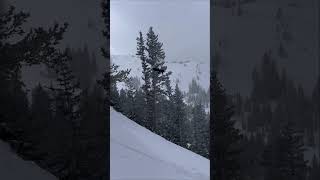 Triple backflip