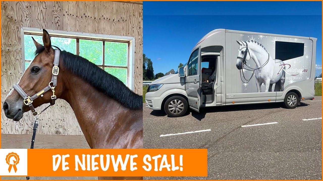 Grote verhuizing met de paarden! | PaardenpraatTV