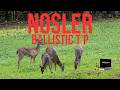 What a Nosler Ballistic Tip Does Inside a Deer