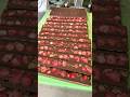 毎年争奪戦!売り切れ続出のストロベリーショコラ🍫🍓