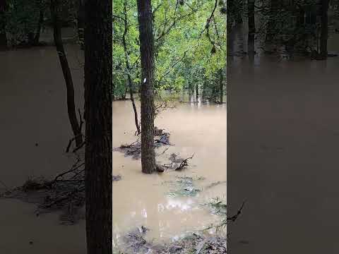 flooding Leon Creek greenbelt