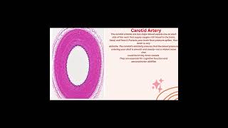 HISTOLOGY PRESENTATION ON TOPIC OF ARTERIES OF ELASTIC TYPE
