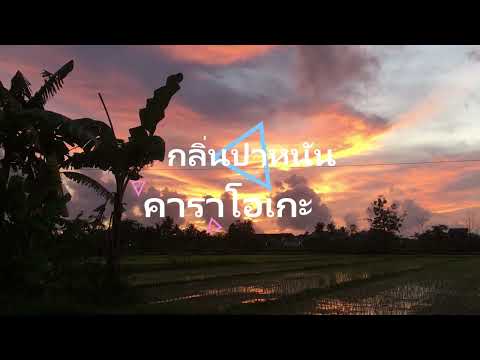 กลิ่นปาหนัน คาราโอเกะ  F