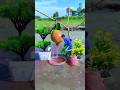 Amazing videography with anar pool creative shorts #amazing #trending #nature #videography #shorts