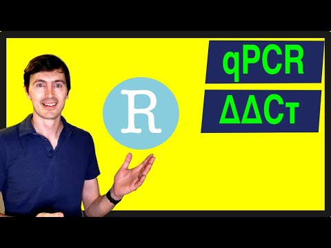 One click qPCR script in R.