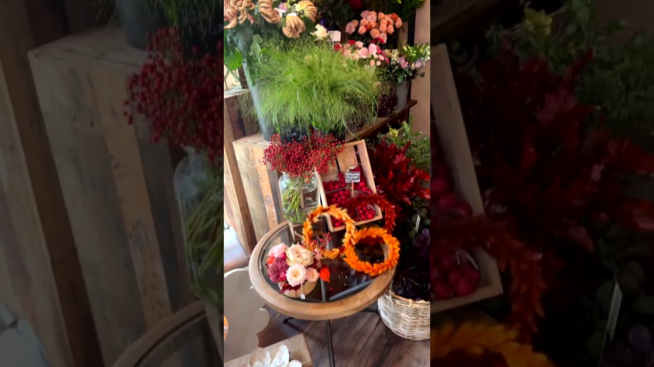 001 Brindilles Nevers place Mancini : boutique nature et bien-être au cœur du centre-ville