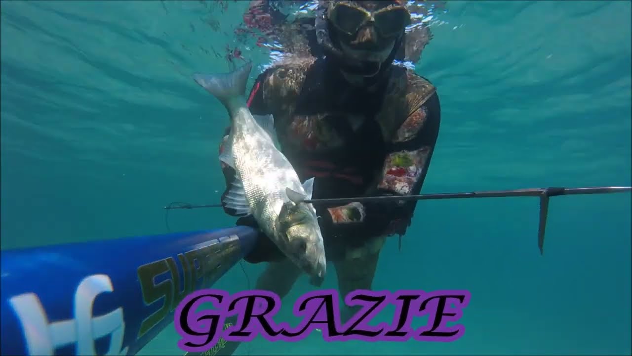 LG 112 SUPREME 14... SPIGOLA IN TANA e altre catture invernali...