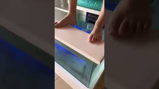 FISH Foot Massage!