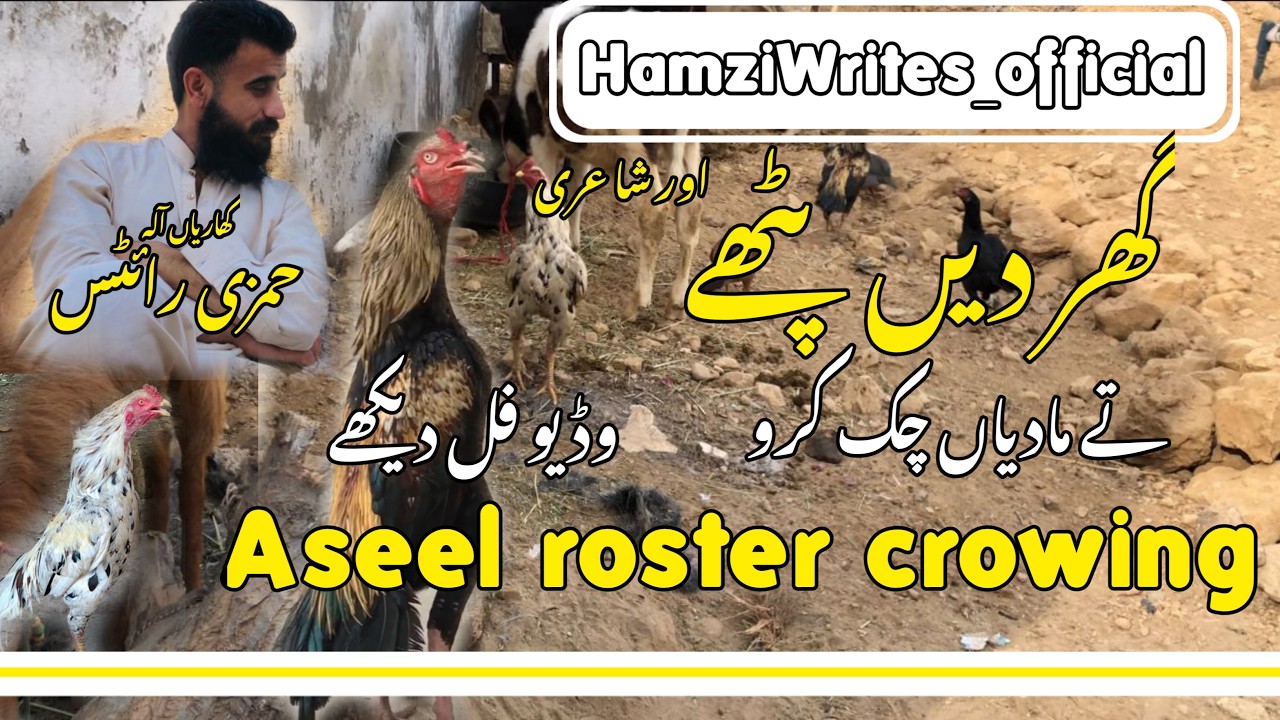 Home velog|| hamziwrites_official ||#viral #lifeisbutadream #whowillbemylifepartnerta #islamicmusic