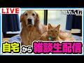 自宅から雑談ライブ！
