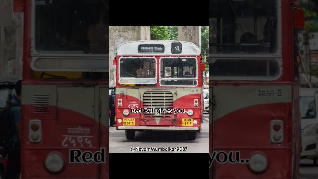 Mumbai Best Bus 🤤🥹🔥 