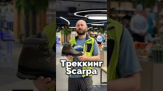 Выбор ботинок проще, чем кажется!