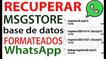 Como recuperar arquivos Msgstore db Crypt?
