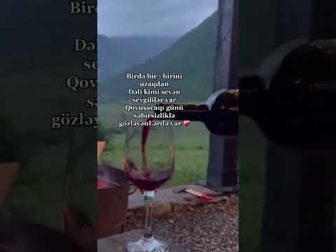 Bir vaxtlar mən..🥀🍷Whatsapp ucun sevgiyə aid maraqlı statuslar Sounds App mahnı Status ucun video