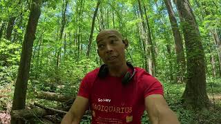 Company Sponsored CDL vs Paying Your Own Way: The Truth New Drivers Need