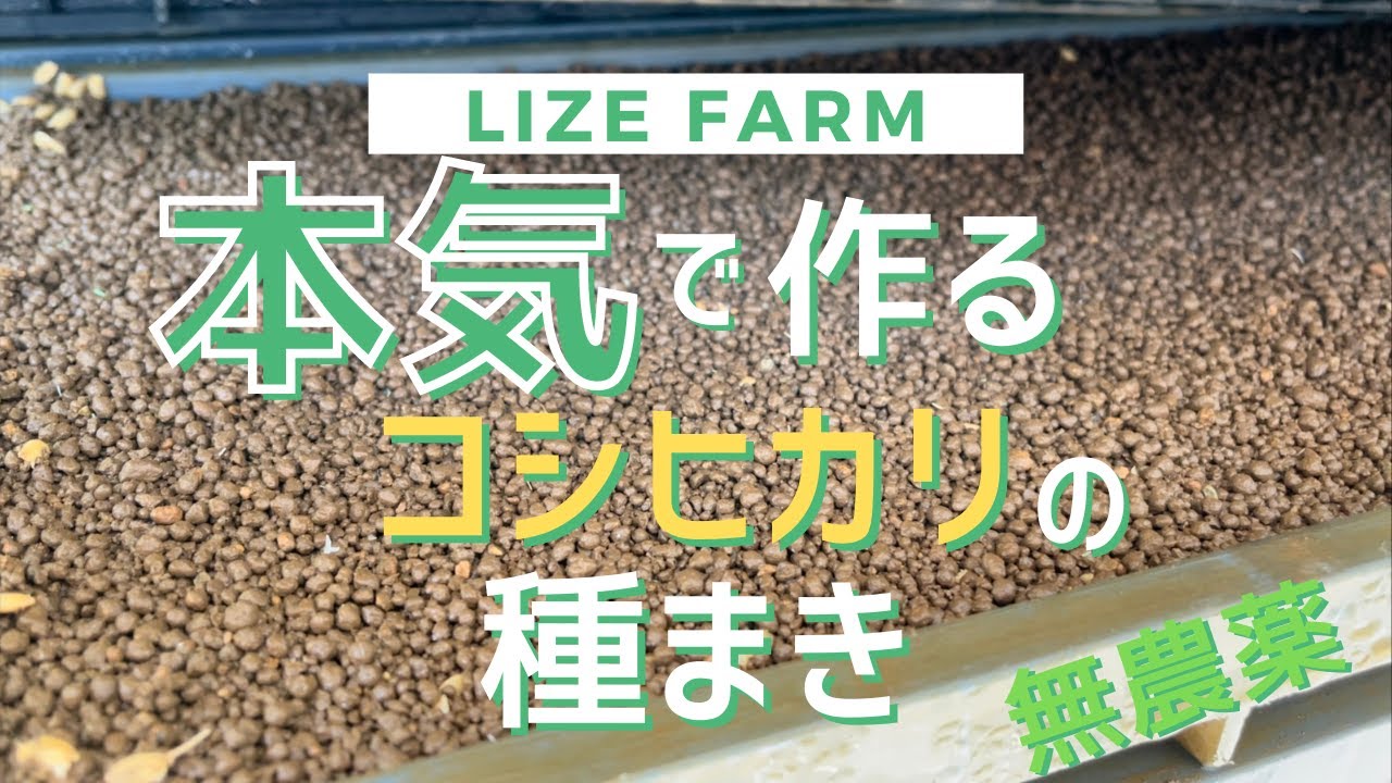 すべての動画