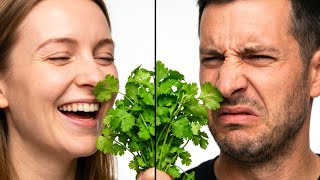 Why Cilantro Smells Like Soap to Some People (It's Written in Your DNA)