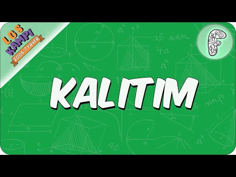 Kalıtım | 2020 LGS Kampı