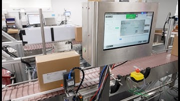 Code and Check with Domino