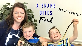 Children’s Church Lesson | A Snake Bites Paul | Acts 28:1-10 Net Worth