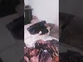 nuevo meme gallina con sombrero coco