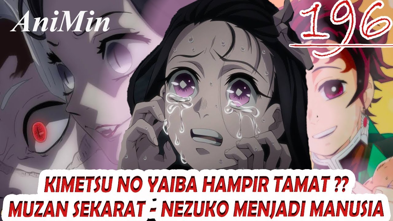 Muzan Sekarat - Nezuko Kembali Menjadi Manusia - Review Kimetsu No