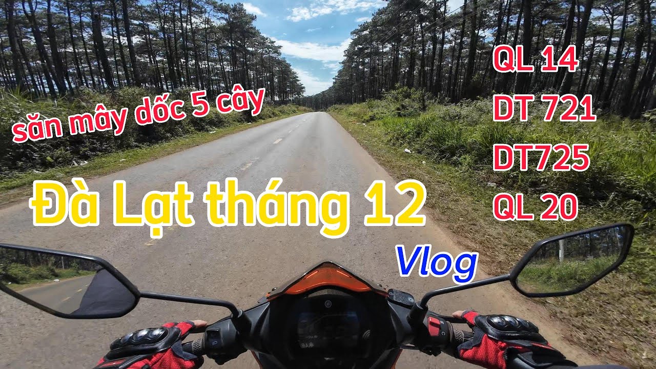 Đà Lạt tháng 12| tháng cuối của năm 2025, săn mây, đèo con ó, B40, đèo Tân Thanh, đèo Prenn 