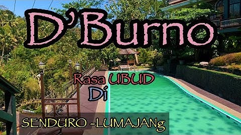 “LOVE VLOG” D’BURNO CAFE & LOUNGE  UBUDNYA SENDURO LUMAJANG !! NONGKRONG DISINI BERASA LAGI DI UBUD!