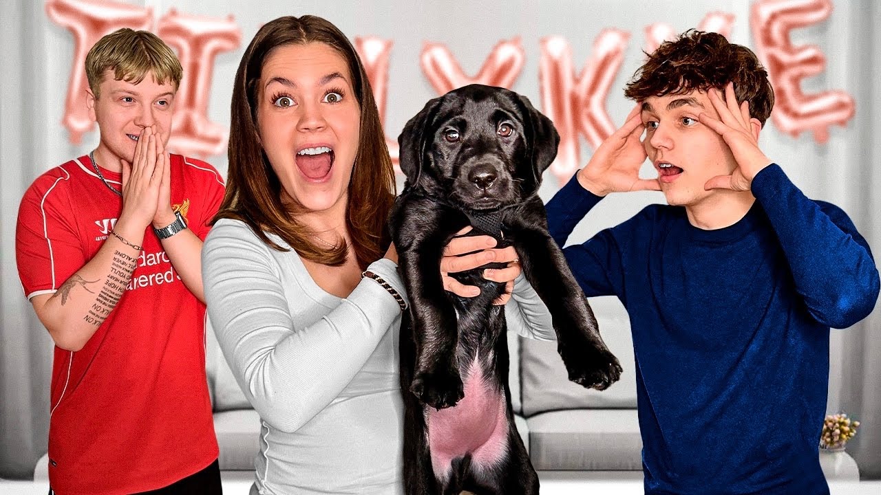 Overrasker lillebror med en hundehvalp!