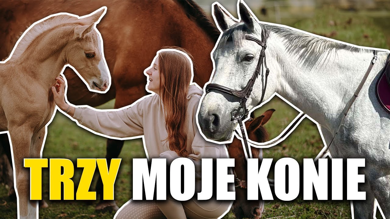 DZIEŃ Z TRZEMA KOŃMI 😍 - SKOKI, KANTAR DLA ŹREBAKA 