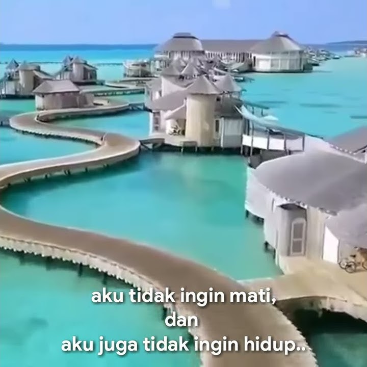 Story Wa Terbaru - GEDE ROSO