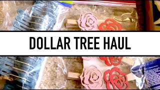 DOLLAR TREE HAUL | A few garden things and more