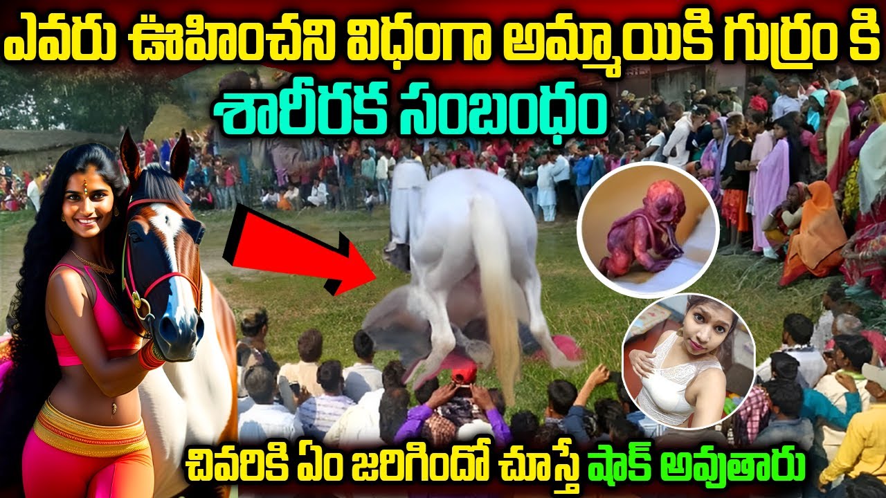 Girl And Horse Real Story | అందరూ చూస్తుండగా ఈ గుర్రం ఈ అమ్మాయిని ఏం చేసిందో చూడండి | 