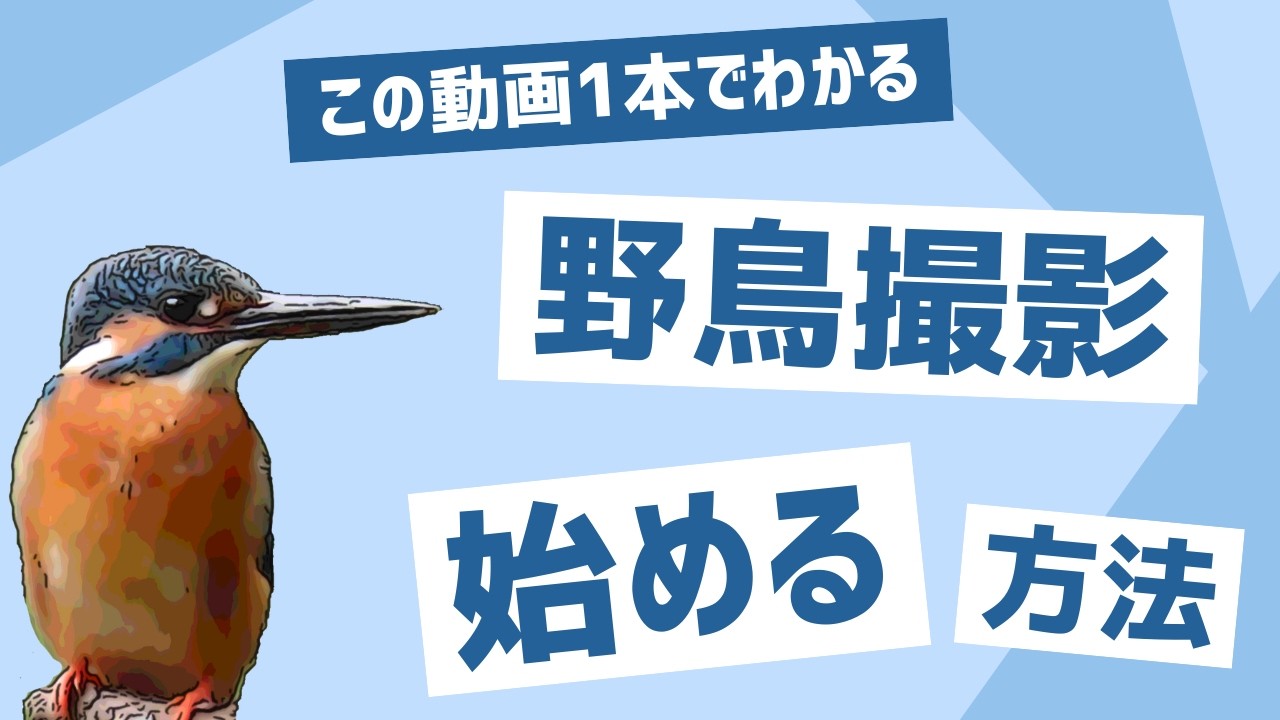野鳥を録る 野鳥録音の方法と楽しみ方 【公式通販】