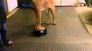 Training Challenge: Truly freeshape Aeri, session 5