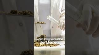 🛡️🐝 WUNDERMITTEL wirkt wie ein natürliches SCHUTZSCHILD #propolis #bienenhonig #homöopathie