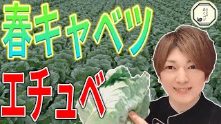春キャベツのエチュベ  ターメリック風味　カレーによく合う料理