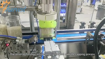 Automatic single head claw type bottle capping machine, Screw capper equipment