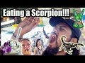 | EATING A SCORPION | THAILAND VLOGS 2018 | EPISODE 6