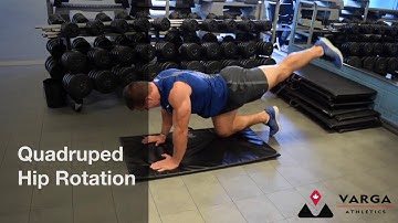 Quadruped Hip Rotation