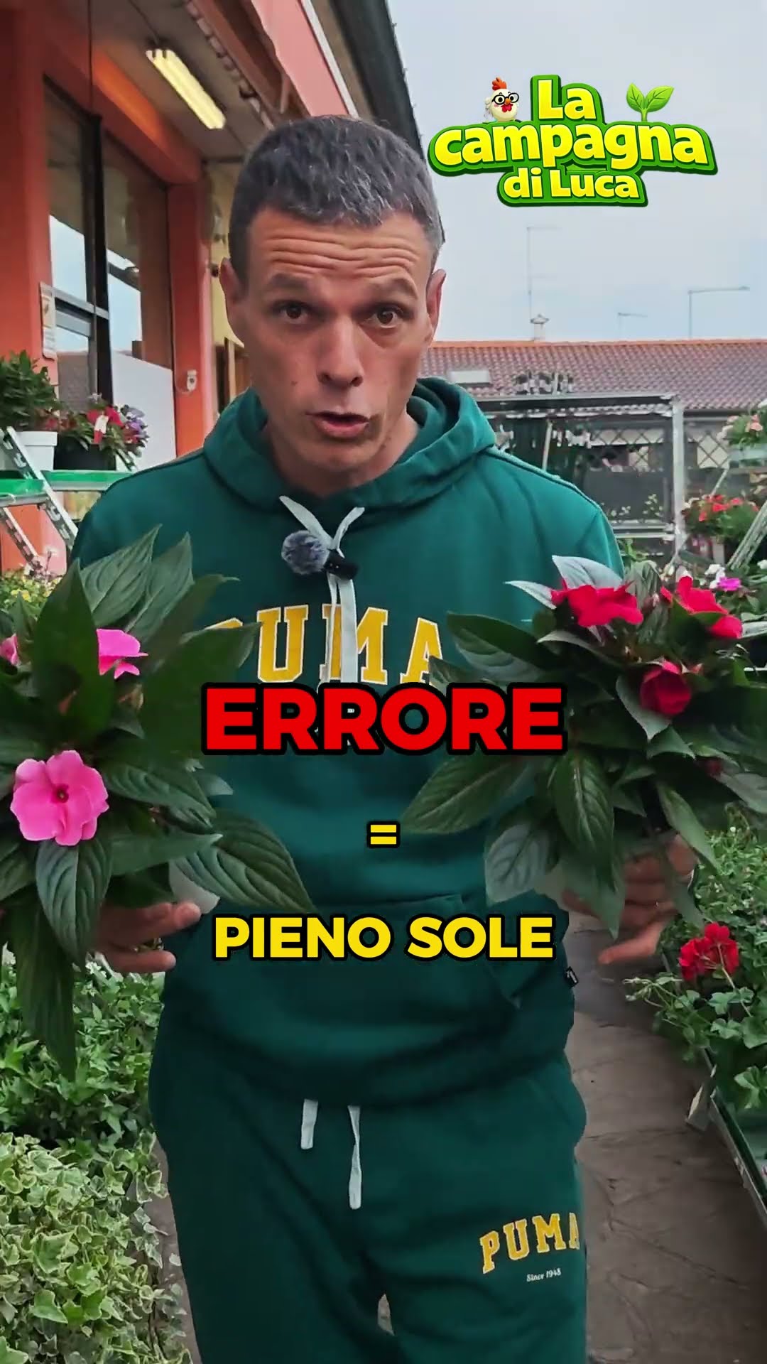 SE METTI LA NUOVA GUINEA AL SOLE… LA STAI UCCIDENDO!