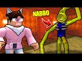 ROBLOX DOORS Ma è Per NABBI