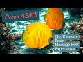 🌊 The Ultimate Brain Massage Reef ASMR | Deep Ocean Relaxation &amp; Sleep Sounds 🐚✨