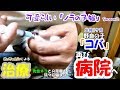可愛らしい「ノラの子猫」Season2 #7 一番元気な子なのに 二度目の病院行き！帰宅後の様子＆処置
