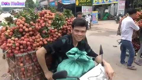 vải thiều lục ngạn tại ngã ba Tân Hoa lục ngạn Bắc Giang