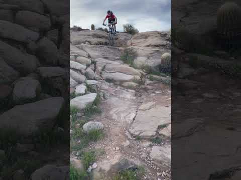 Mountain Biking a
