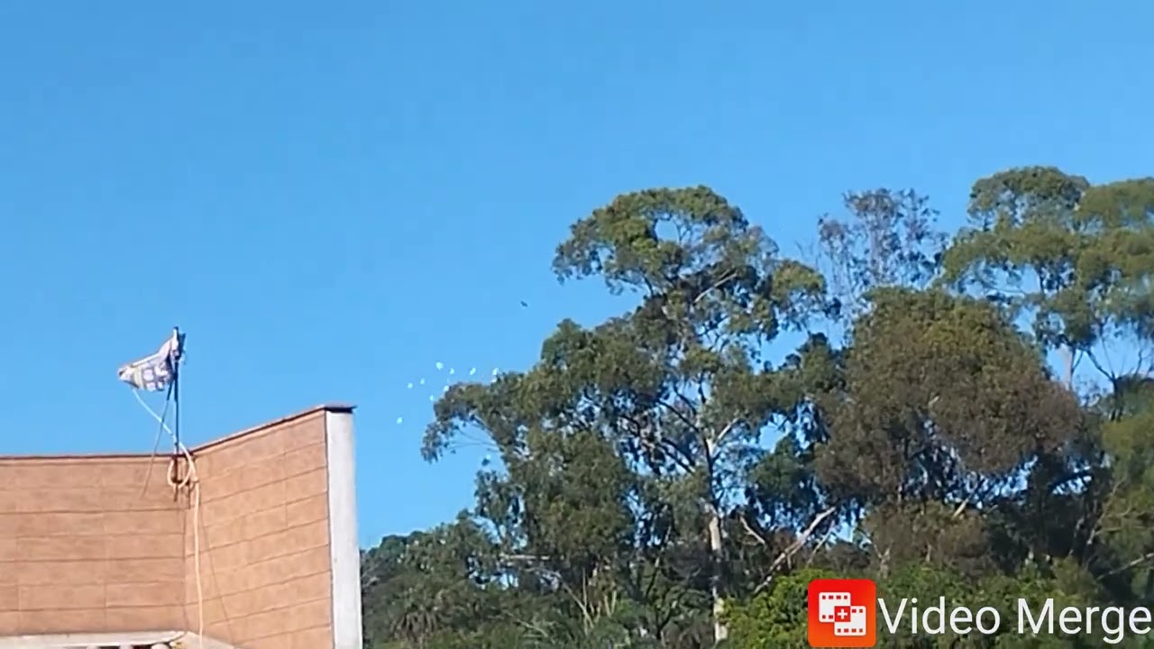 Revoadinha de Terça feira 17/02/2026